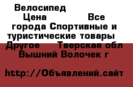 Велосипед Viva Castle › Цена ­ 14 000 - Все города Спортивные и туристические товары » Другое   . Тверская обл.,Вышний Волочек г.